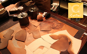 Shoe Cut Parts