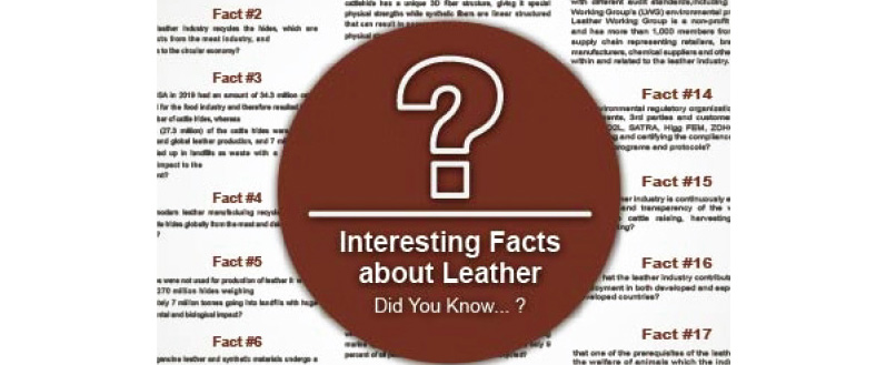 Interesting Facts About Leather